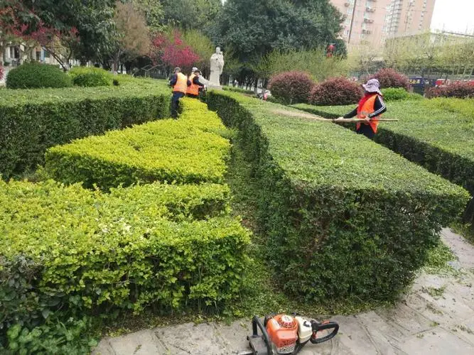 杭州园林市值面临压力，市场情绪如何影响股价前景？