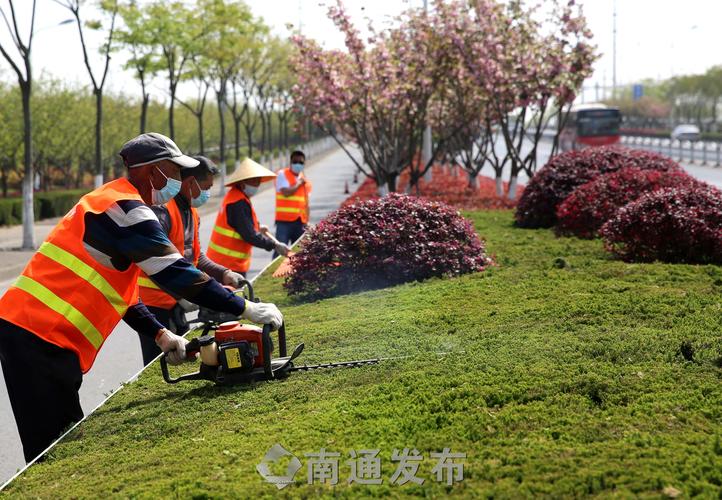 江门市政园林绿化工程资料