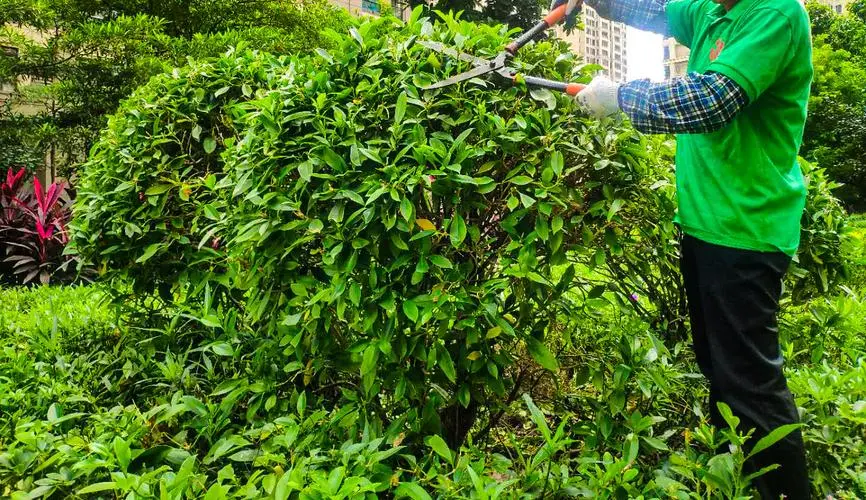 办公楼空中园林景观设计